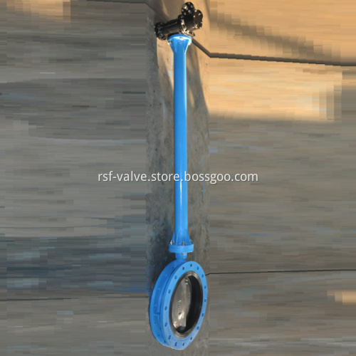 Stem Extended Butterfly Valve